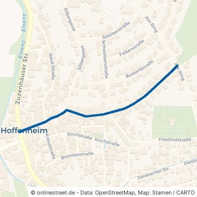 Waibstadter Straße Sinsheim Hoffenheim 