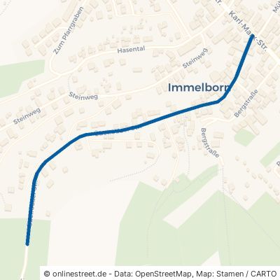Übelrodaer Straße Barchfeld-Immelborn Immelborn 
