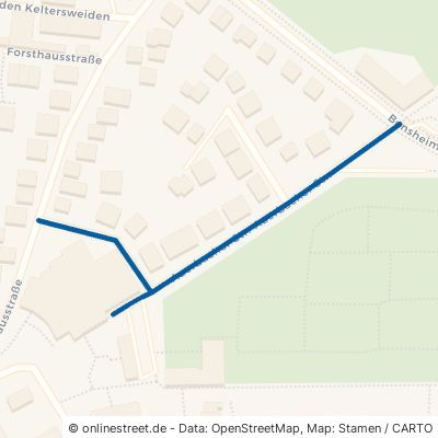 Auerbacher Straße 65428 Rüsselsheim am Main Königstädten Königstädten