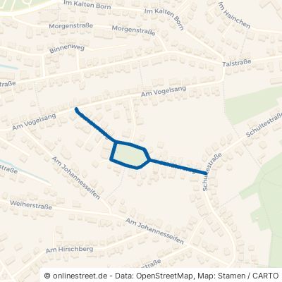 Schülerweg Siegen Weidenau 