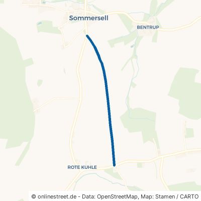 Blomberger Weg 32683 Barntrup Sommersell 