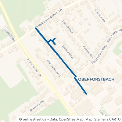 Zedernweg 52076 Aachen Oberforstbach Oberforstbach