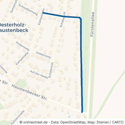 Alleestraße Schlangen Oesterholz-Haustenbeck 