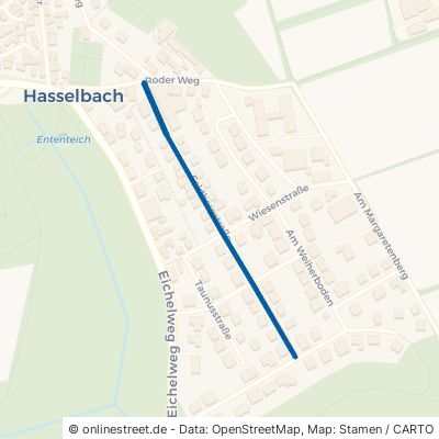 Feldbergstraße 61276 Weilrod Hasselbach 