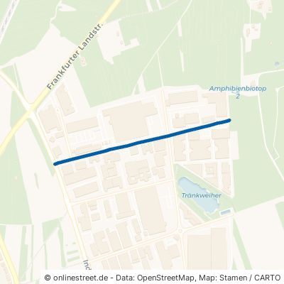 Kurhessenstraße Mörfelden-Walldorf Mörfelden 