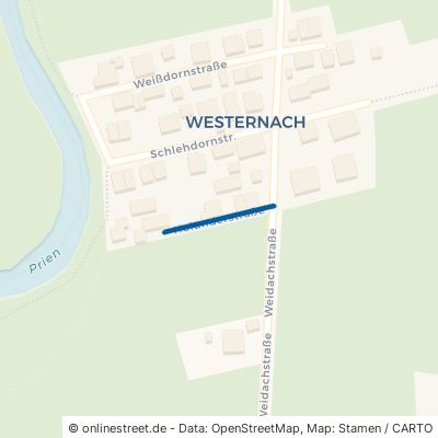 Holunderstraße Prien am Chiemsee Westernach 