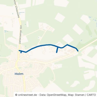 Bredhornweg Holm 