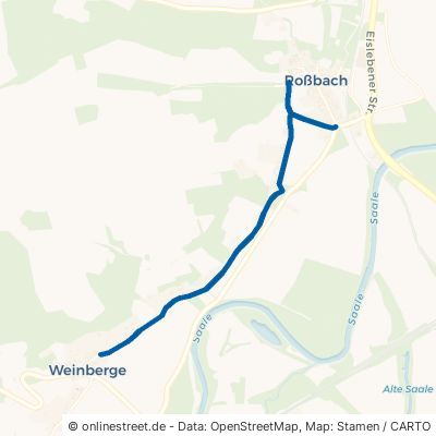 Weinberge Naumburg Roßbach 