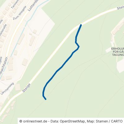 Schuttplatzweg 74865 Neckarzimmern 
