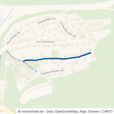 Prümer Straße Schleiden 