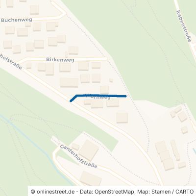 Ahornweg Furtwangen im Schwarzwald Stadtgebiet 