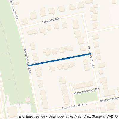 Holunderstraße Düsseldorf Stockum 