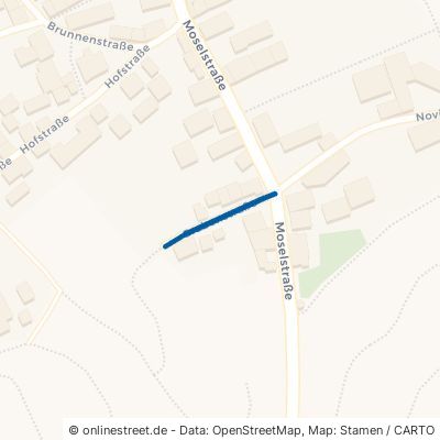 Grabenstraße 54518 Osann-Monzel Monzel 