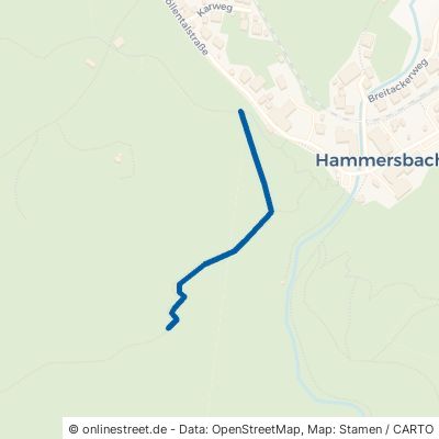 Erdrinne Grainau Hammersbach 