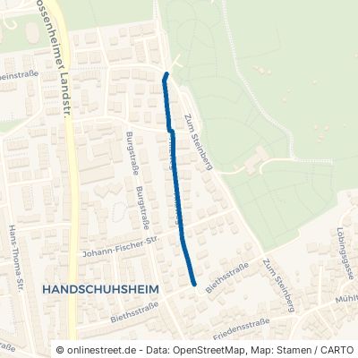 Hilzweg Heidelberg Handschuhsheim 