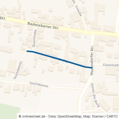 Alte Straße 39365 Ummendorf 
