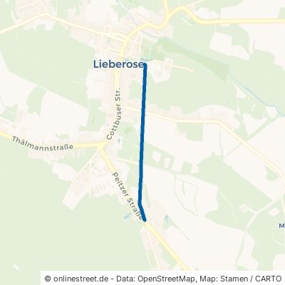 Kastanienallee 15868 Lieberose Lieberose 