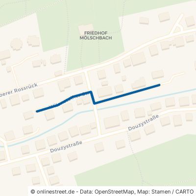 Wilensteiner Straße Kaiserslautern Mölschbach 