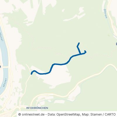 Kronweg Trittenheim 