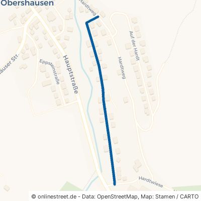 Im Wiesental Löhnberg Obershausen 