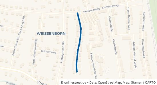 Otto-Nagel-Straße Zwickau Weißenborn 