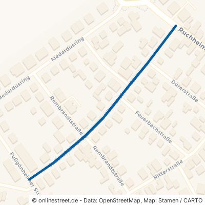 Hillensheimer Straße 67112 Mutterstadt 
