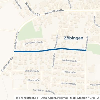 Blumenstraße Unterschneidheim Zöbingen 