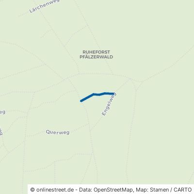 Spitzmausweg Bad Dürkheim Hardenburg 