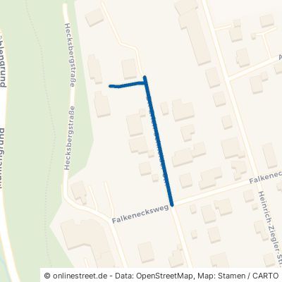 Dr.-Erich-Schneider-Straße Braunfels 