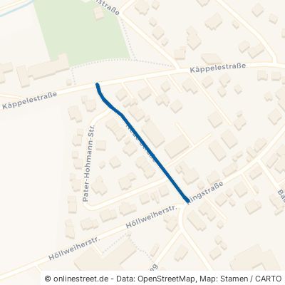 Neue Straße Schemmerhofen 