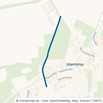 Kreuzgraben Heringen (Helme) Hamma 