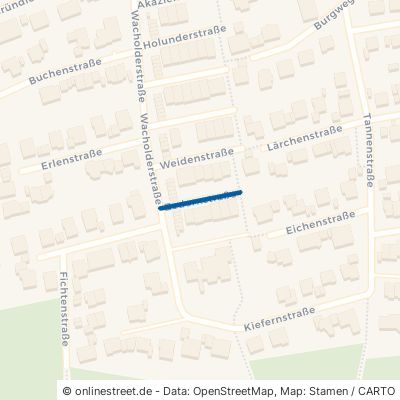 Zedernstraße Birkenfeld 