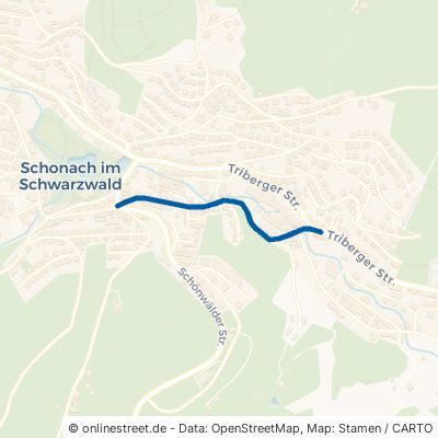 Hermann-Burger-Straße 78136 Schonach im Schwarzwald 