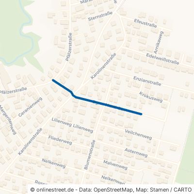 Bürgermeister-Mertl-Straße Großkarolinenfeld Filzen 