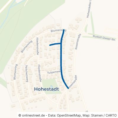 Nelkenweg 97199 Ochsenfurt Hohestadt 