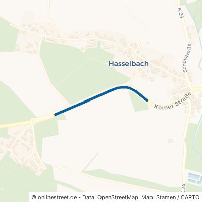 B 8 Hasselbach 