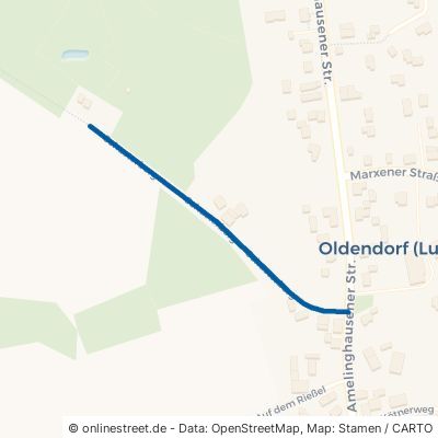 Schusterberg Oldendorf Oldendorf 