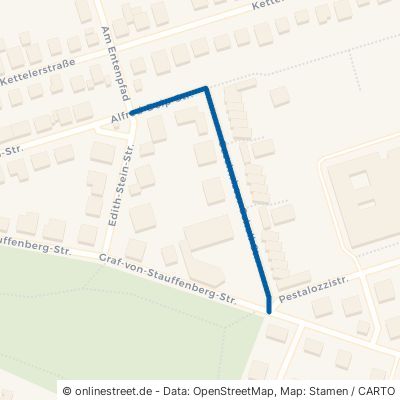 Geschwister-Scholl-Straße 68642 Bürstadt 
