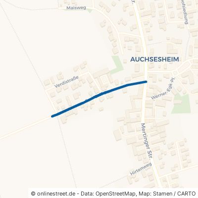 Carl-Orff-Straße Donauwörth Auchsesheim 
