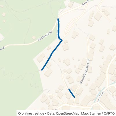 Schillerweg 82481 Mittenwald 