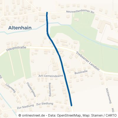 Grimmaer Landstraße Trebsen Altenhain 