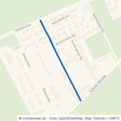 Finanzrat-Albert-Straße Dessau-Roßlau Roßlau 
