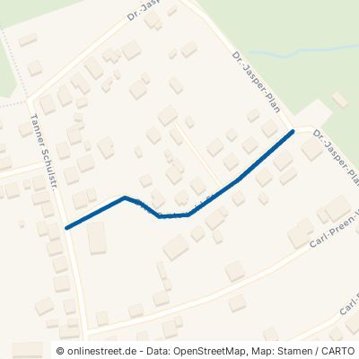 Otto-Grotewohl-Straße Tanne 