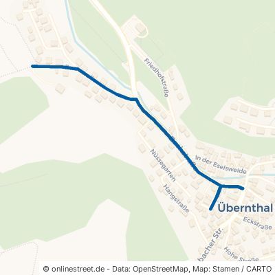 Bachstraße Siegbach Übernthal 