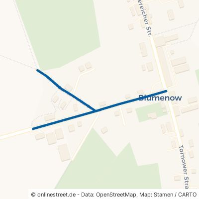Dannenwalder Straße 16798 Fürstenberg (Havel) Blumenow 
