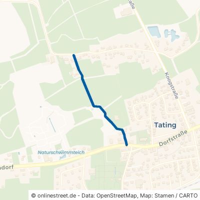 Pastoratsweg Tating 