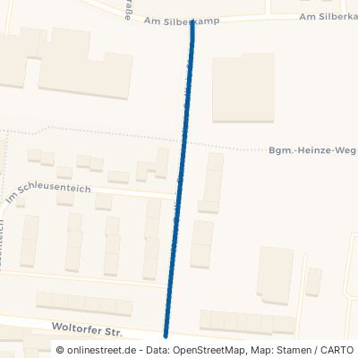 Hans-Gallinis-Straße 31224 Peine Kernstadt Nord 