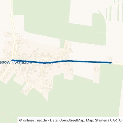 Dorfaue Dissen-Striesow Striesow 