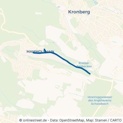 Kronthaler Straße Königstein im Taunus Mammolshain 