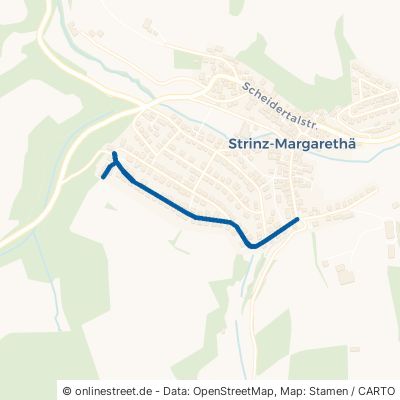 Waldstraße Hohenstein Strinz-Margarethä 